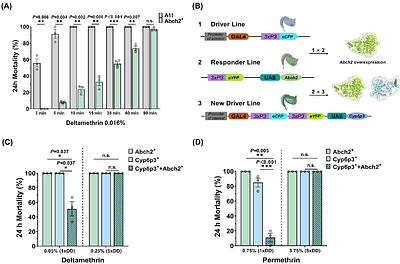 Synergistic action of different molecular mechanisms causes striking levels of insecticide resistance in the malaria vector Anopheles gambiae