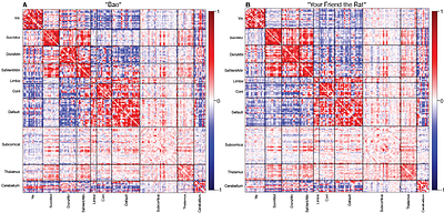 An open, fully-processed data resource for studying mood and sleep variability in the developing brain