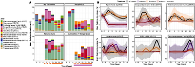A dominant coral parasite, Candidatus Aquirickettsia rohweri, resists antibiotic exposure and thermal challenge below the bleaching threshold in disease-susceptible Acropora cervicornis