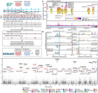 Massive-scale single-nucleus multi-omics identifies novel rare noncoding drivers of Parkinson's disease