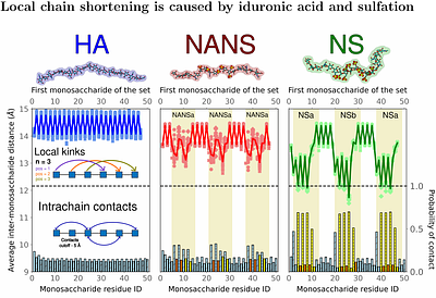 Quantitative Mapping of Sulfation, Iduronic Acid, and Secondary Structure in Glycosaminoglycans