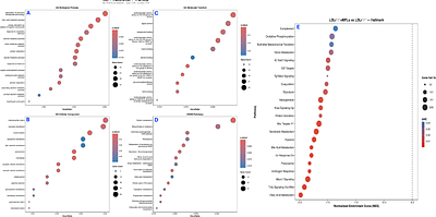 Chronic Polystyrene Nanoplastics Exposure Reprograms Gene Expression, Alternative Splicing, and Disrupts Host Microbiome Metabolic Networks to Promote Atherosclerosis in LDLr- Knockout Mice