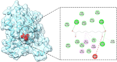 Azelaic Acid Exhibits Dual Antimicrobial and Quorum Sensing Inhibitory Activities Against Pathogens: In Vitro Evaluation and Molecular Docking Insights
