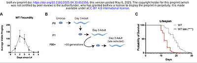 Parental age selection in C. elegans influences progeny stress resistance capacity