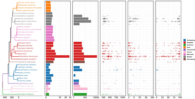Animal retrozymes are nonautonomous sequences of Penelope-like elements