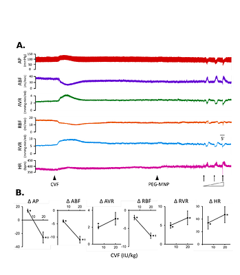 Hemodynamic Characteristics of Acute Hypersensitivity Reaction Induced by PEGylated Nanocomposite in Rats: Mechanism at the Nano-Bio Interface
