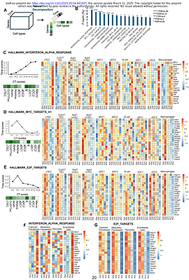 Coordinated changes in thymic stromal and hematopoietic cells that define the perinatal to juvenile transition