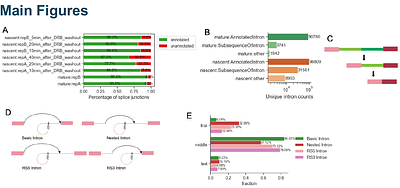 Detection of a sequence feature for recursive splicing