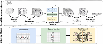 Characterization of selective pressures acting on protein sites with Deep Learning