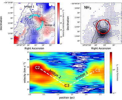 BISTRO Survey: Gravity-Dominated and Magnetically Regulated Star Formation in M17 SW