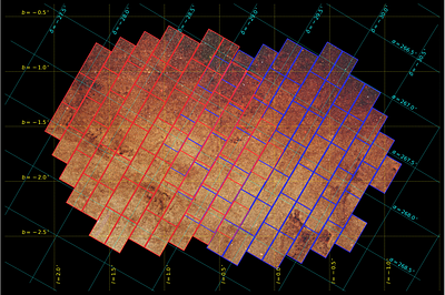 A Minute-Cadence Deep Bulge Survey: First Data Release of DREAMS