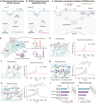 Programming Biomolecular Interactions with All-Atom Generative Model