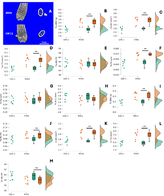 Vibration's frequency and intensity for optimal setup for enhancement bone response in small rodents: A systematic review and Bayesian network meta-analysis