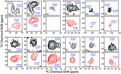 Higher Magnetic Field NMR Renders Resolution Enhancement on Ganglioside GD3 Catalyzed Abeta42 Aggregates