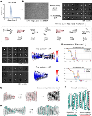 Programming protein shape as an explicit design layer via CAD blueprint-guided diffusion