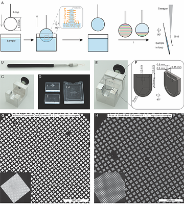 Foam film vitrification for cryo-EM