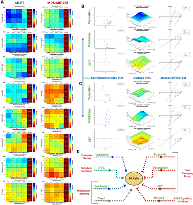 Disruption of PI3K/OxPhos Coupling by Trehalose Drives a BCAA to Lipid Metabolic Switch in Hormone Receptor Positive Breast Cancer