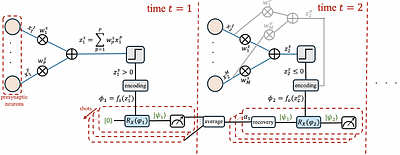 Stochastic Quantum Spiking Neural Networks with Quantum Memory and Local
  Learning