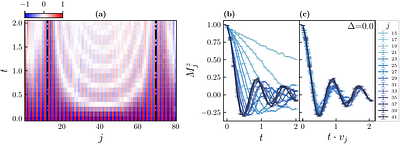 Observing quantum many-body dynamics in emergent curved spacetime using programmable quantum processors