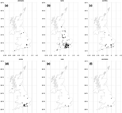 Mapping the distribution of elms in Britain after a century of Dutch elm disease