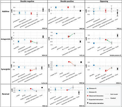 Physiological responses of submerged freshwater macrophytes to multiple stressors