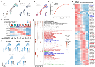 Single-cell transcriptomic atlas of mouse oocyte development from growth to ovulation