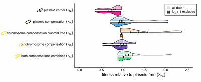 Chromosome, Plasmid, or Both: Short-Term Dynamics and Long-Term Outcomes of Plasmid Cost Compensation under Trade-Offs