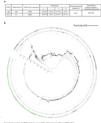 RfxCas13d Mediates Broad-Spectrum Suppression of Highly Pathogenic Avian Influenza