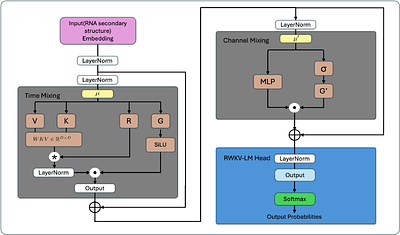 RWKV-IF: Efficient and Controllable RNA Inverse Folding via Attention-Free Language Modeling
