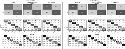 STRADAViT: Towards a Foundational Model for Radio Astronomy through Self-Supervised Transfer