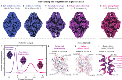 Cryo-EM Sample Preparation with Soft-Landing and Laser Flash Melting