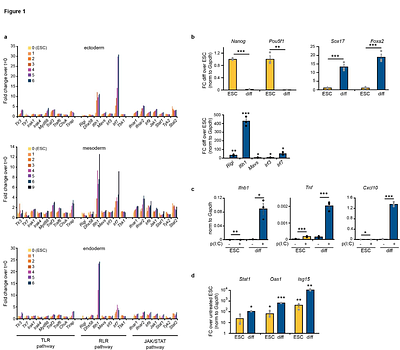 Double stranded RNA sensing drives interferon silencing in early development