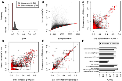 Predicting the protein interaction landscape of a free-living bacterium with pooled-AlphaFold3