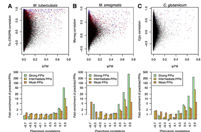 Predicting the protein interaction landscape of a mycobacterial pathogen