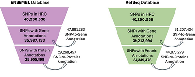 From SNPs to Pathways: A genome-wide benchmark of annotation discrepancies and their impact on protein- and pathway-level inference