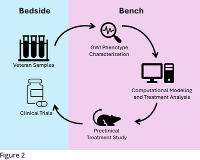 Computational modeling-directed combination treatment with etanercept and mifepristone mitigates neuroinflammation in a mouse model of Gulf War Illness.