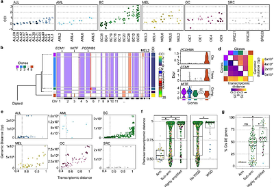 Principles of subclonal gene dosage across human cancer