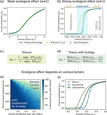 Emergent frequency-dependent selection predicts mutation outcomes in complex ecological communities