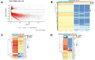 Mitochondrial Bioenergetic Failure in SLE Immunocytes: Targeting Fitness for Therapy