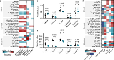 Structure-affinity correlations and separable optical activity in carbon nanotube protein coronas