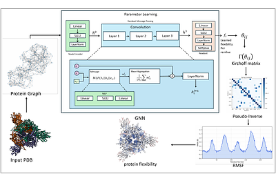 Learnable Graph Network Model (LGNM): A Physics Constrained Graph Neural Network with Quantum Hamiltonian Learning