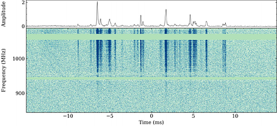 MeerKAT discovery of a hyperactive repeating fast radio burst source