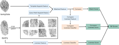 Boosting Generalization with Adaptive Style Techniques for Fingerprint
  Liveness Detection