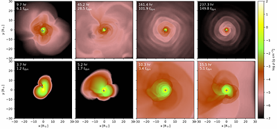 Hydrodynamic Response of Mildly Evolved Common Envelope Donors in Luminous Red Novae