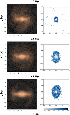 SMUGGLE-Ring: Evolutionary link between nuclear star cluster and nuclear disk