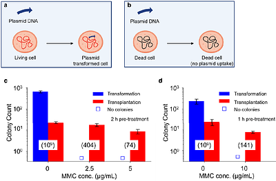 Selection-free whole genome transplantation revives dead microbes