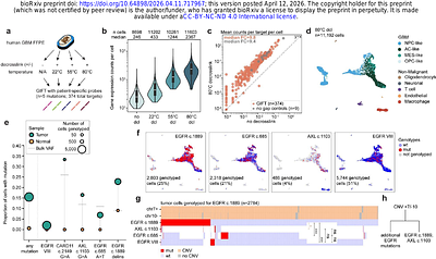 Scalable genotyping in fixed transcriptomes resolves clonal heterogeneity via single-cell sequencing