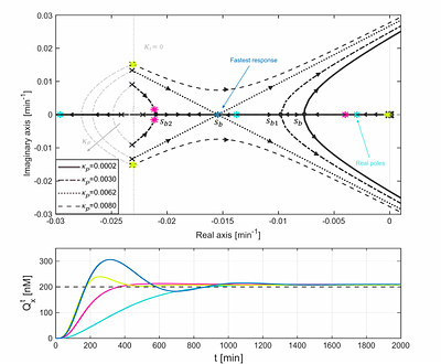 Root Contours Guided Design of a Multicellular PID Controller