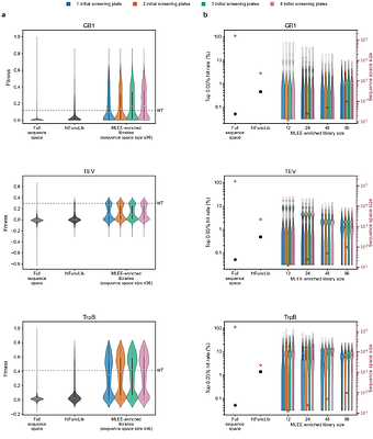 Combining Stability-Centered Atomistic Design with Machine Learning for Targeted Enzyme Optimization
