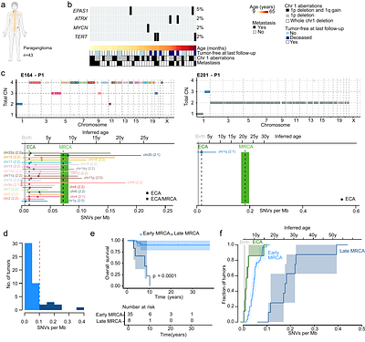 LACHESIS: real-time inference of evolutionary trajectories of malignant transformation from whole-genome sequencing data